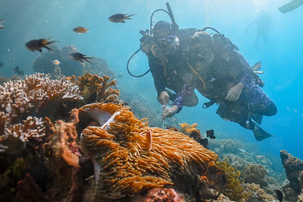 pikat-raja-ampat