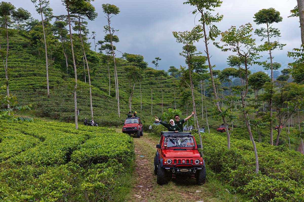 hamparan-hijau-kebun-teh-kemuning