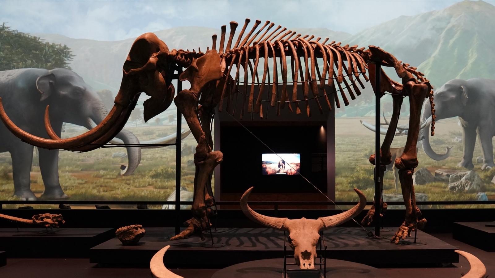 jelajah-evolusi-museum-nasional-pameran-imersif-dan-kembalinya-the-java-man