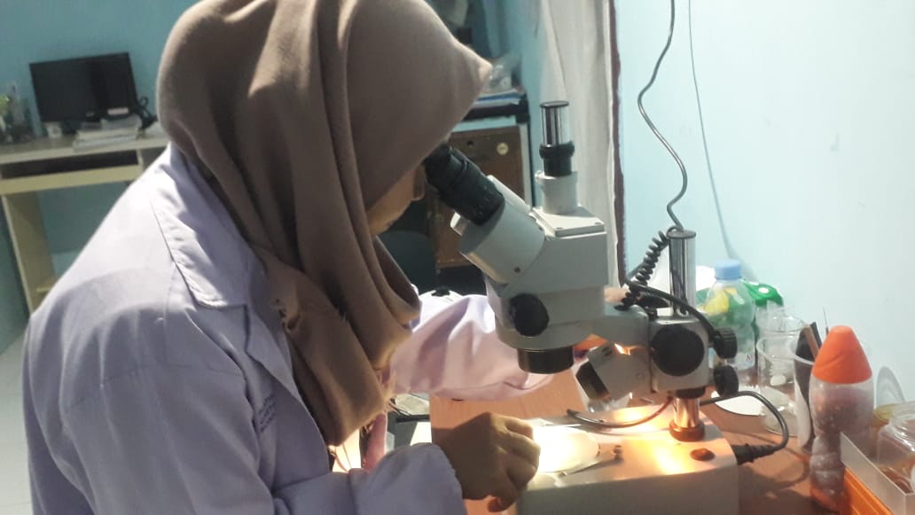 dokter-nyamuk-memerdekakan-indonesia