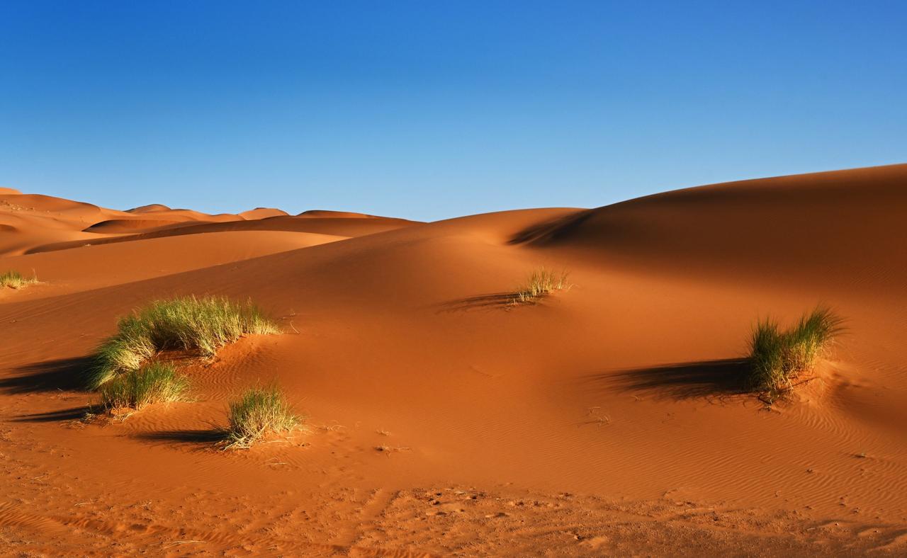 menjadi-manusia-di-ujung-tahun