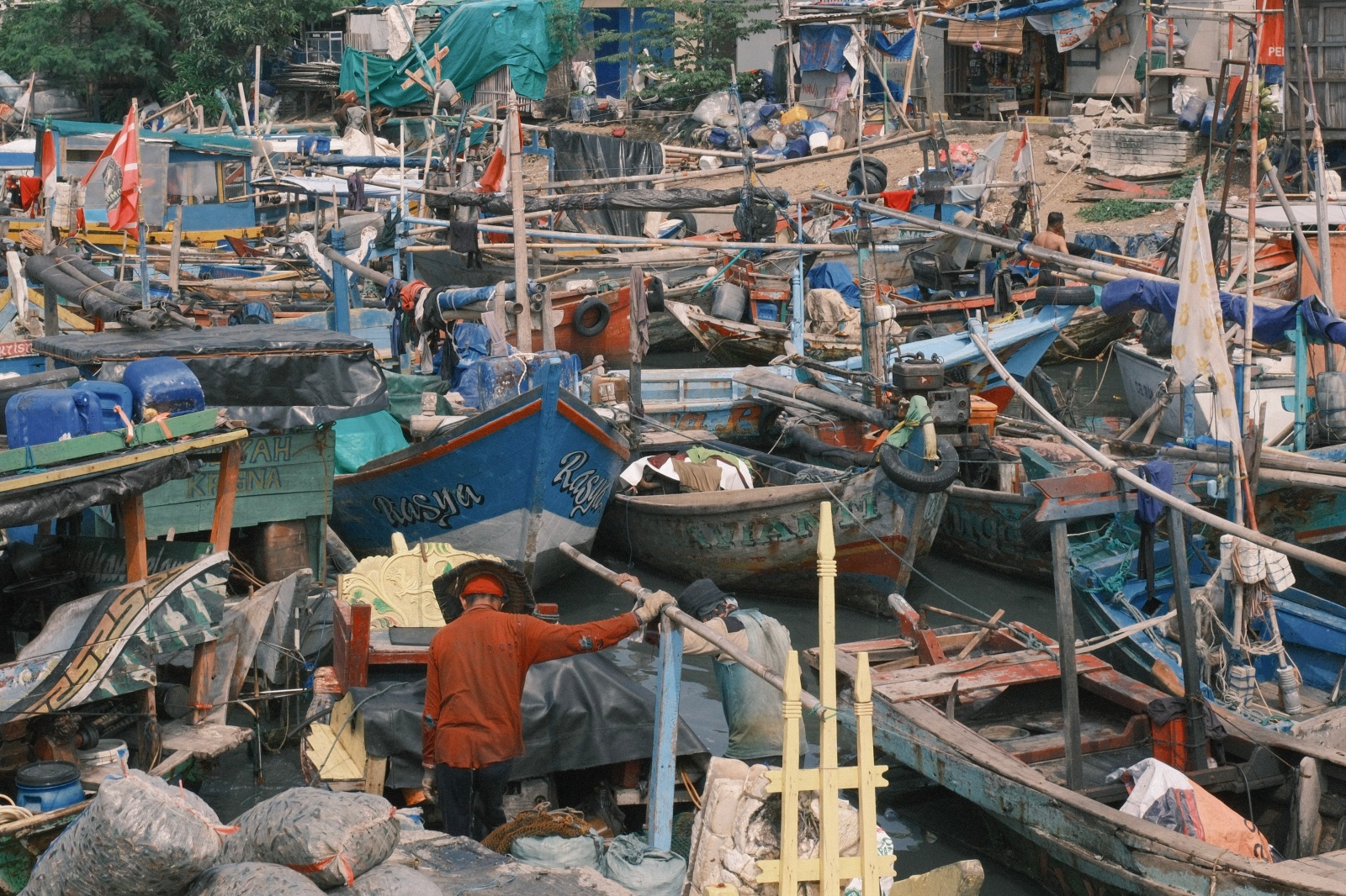 coral-kolaborasi-seni-dan-desain-untuk-kehidupan-pesisir