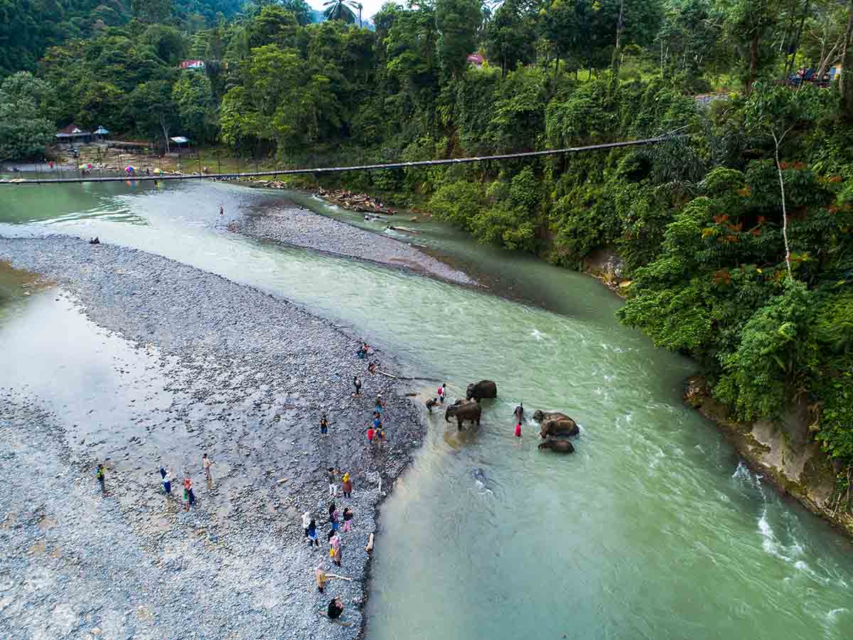 ekowisata-tangkahan-di-taman-nasional-gunung-leuser