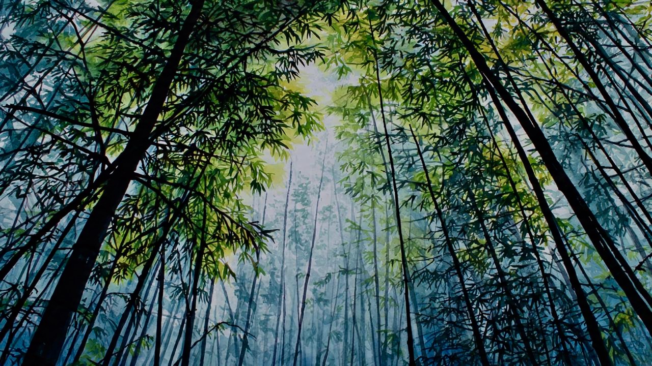 bambu