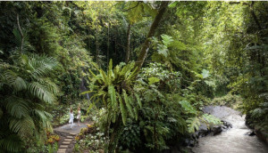 lokha-wellness-spa-a-spiritual-awakening-in-the-heart-of-the-jungle